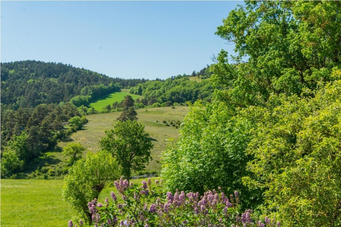 Gite Gite 4/5 Personnes Au Marcayres Βίλα Saint-Georges-de-Levejac Εξωτερικό φωτογραφία